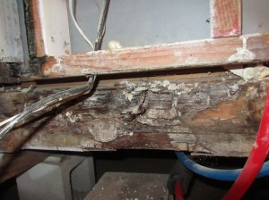 Wet wood equals termite food. 